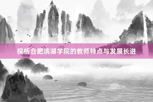 探析合肥滨湖学院的教师特点与发展长进