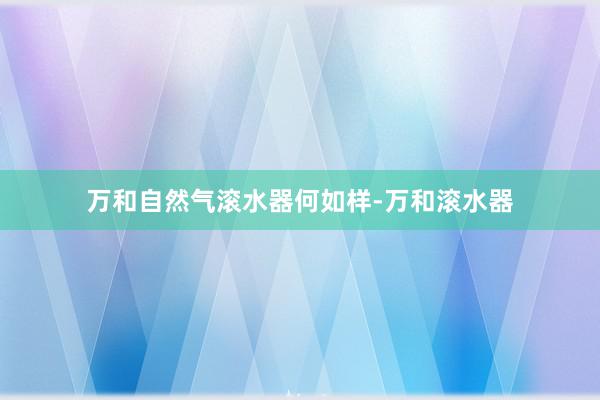 万和自然气滚水器何如样-万和滚水器